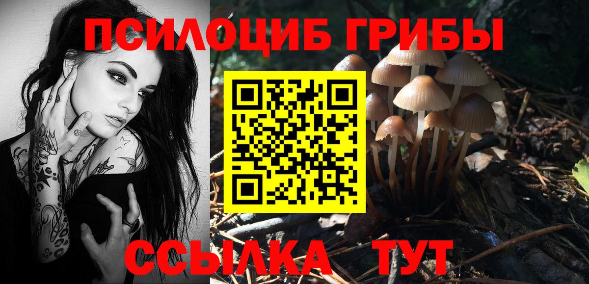 Псилоцибиновые грибы мицелий Оренбург